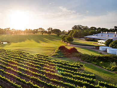 sandalford wines2.jpg
