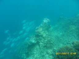 '""'