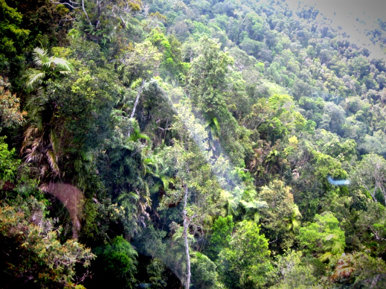'""'