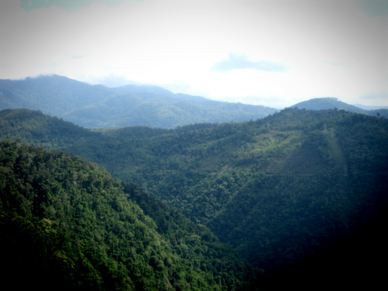 '""'