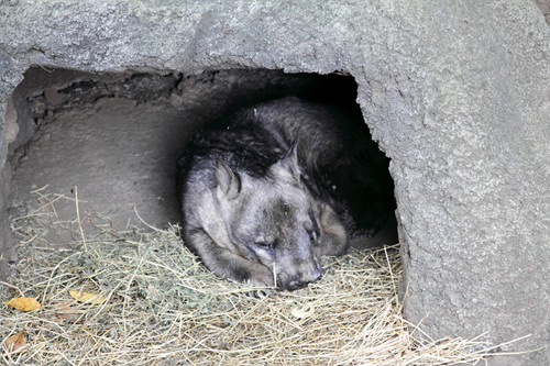 '""'