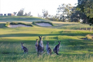 Riverside Oaks Golf (4인기준)썸네일