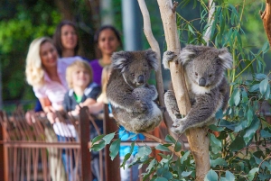 멜버른 동물원 Melbourne Zoo썸네일