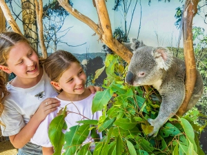 시드니 동물원 Sydney Zoo상품썸네일