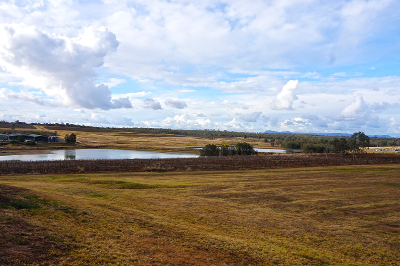 DSC09992.jpg