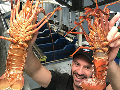 Lobster-shack-.jpg