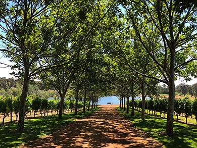 Margaret-river-5.jpg
