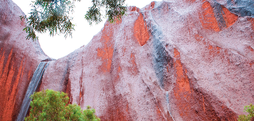 uluru-base-y40-banner.jpg