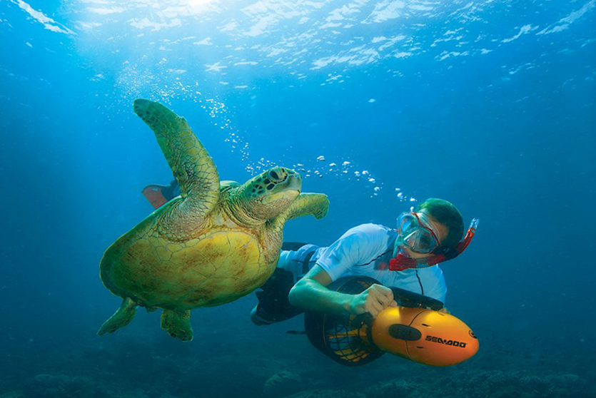 Sea-Scooter-Safari.jpg