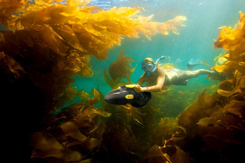 Seadoo-Sea-Scooter.jpg