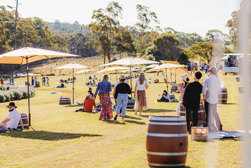 Lavender Picnic.jpg